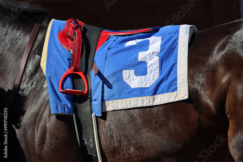 Horse racing saddle and cloth with the number three