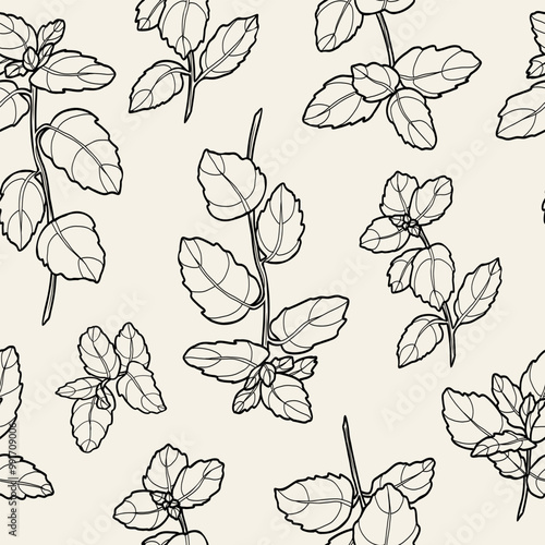 Line art mint branches seamless pattern