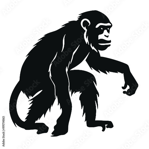 chimpanzee chimp  silhouette vector illustration  transparent background photo