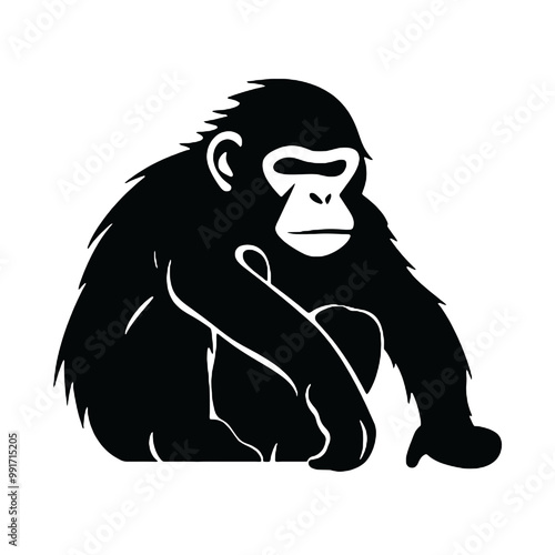 chimpanzee chimp  silhouette vector illustration  transparent background photo