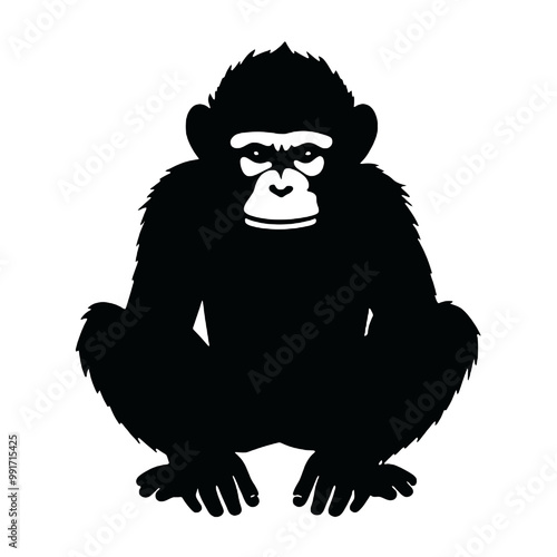 chimpanzee chimp  silhouette vector illustration  transparent background photo