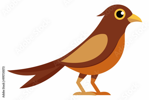 Little sparrowhawk bird vector illustration photo