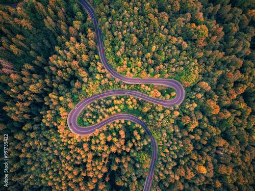 Aerial drone view of a winding mountain road in the Carpathians, cutting through dense forests and rugged terrain.