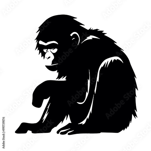 chimpanzee chimp  silhouette vector illustration  transparent background photo