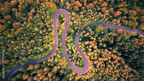 Aerial drone view of a winding mountain road in the Carpathians, cutting through dense forests and rugged terrain.
