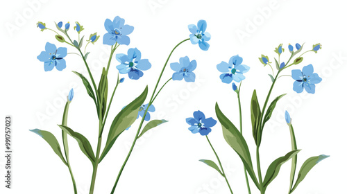 Forget-Me-Not Flower Clipart Isolated on white background Vector Illustration