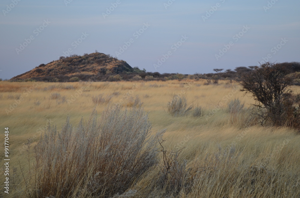 Naklejka premium Africa