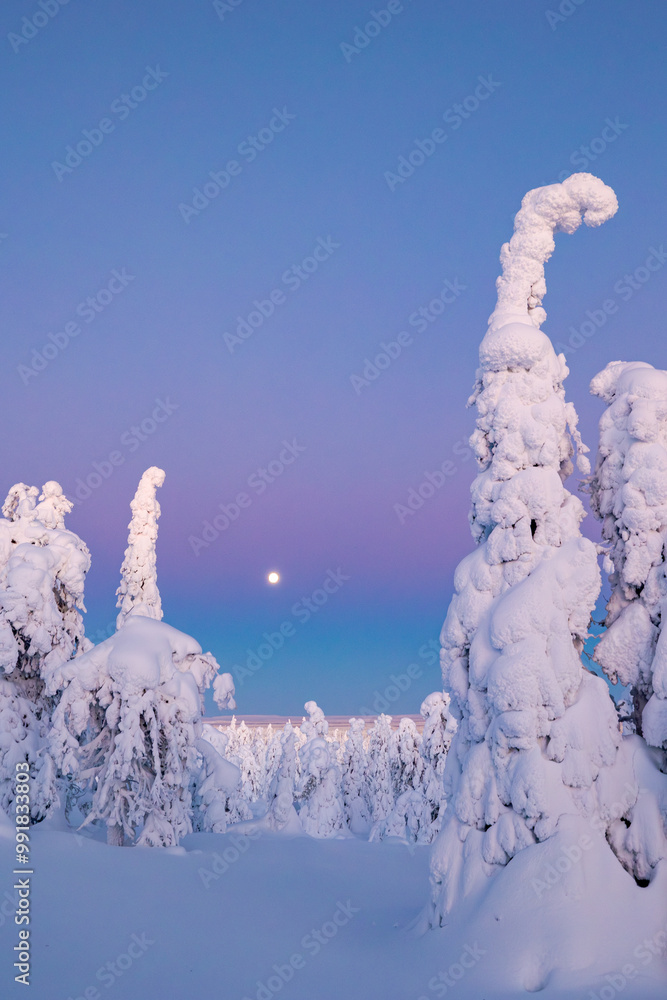 landscape with snow
