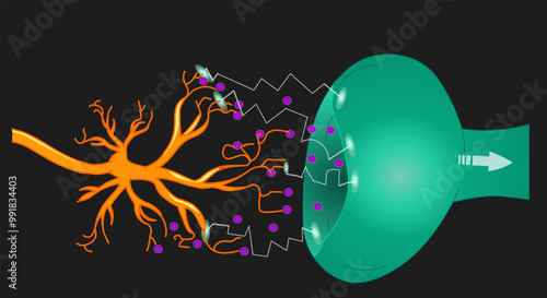 Dopamine receptor, synaptic vesicles, synaptic clef. Transmission nerve electrical signal from presynaptic neuron. Neurotransmitter. Parkinson disease.  Lighting ,dark background. Vector illustration	