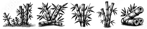 collection of bamboo plants in black and white vector line art style