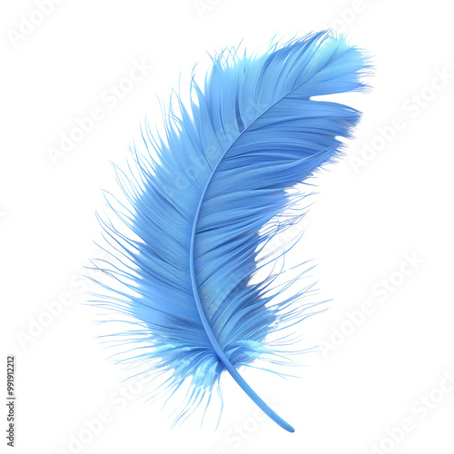 Single Blue Feather photo