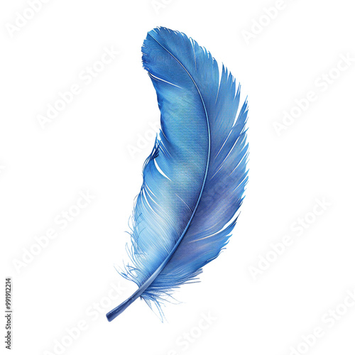 Single Blue Feather
