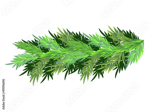 Wallpaper Mural Green Christmas tree branch - vector image.	 Torontodigital.ca