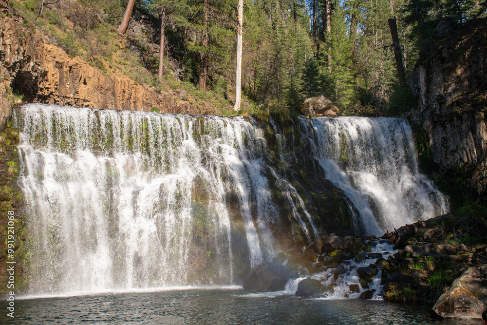 Fototapeta premium Mccloud falls waterfall shasta
