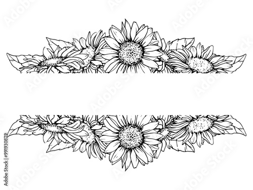 Horizontal Graphic Frame with Sunflower. Vector Flower in line art style. Autumn botanical illustration of chamomile painted by black inks. Hand Drawn engraving Bouquet of daisies. Sketch outline