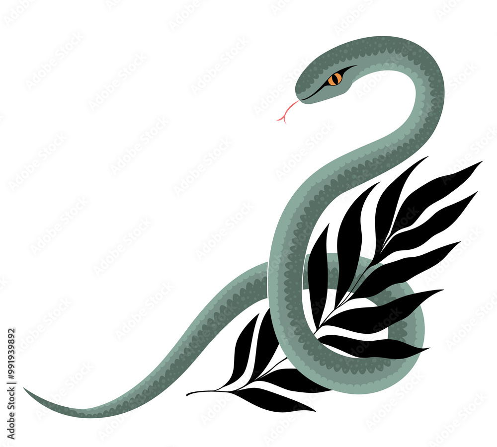 Fototapeta premium Snake wraps around the leaf. Beautiful png graphic illustration on transparent background