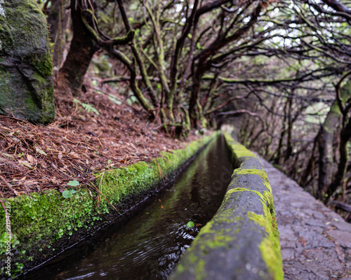 Small water channel surrounded by treesl, Portugal photo