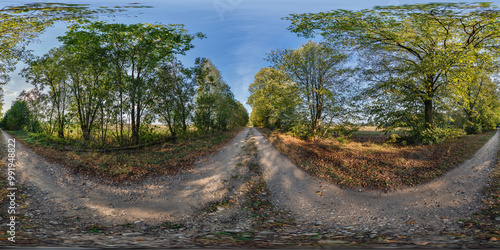 360 hdri panorama on gravel road among old poplar grove with gnarled branches in autumn forest or alley in sunny evening in equirectangular spherical seamless projection. VR AR content photo