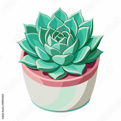 succulent rosette sitting in a ceramic pot