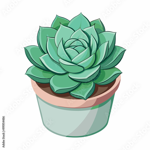 succulent rosette sitting in a ceramic pot