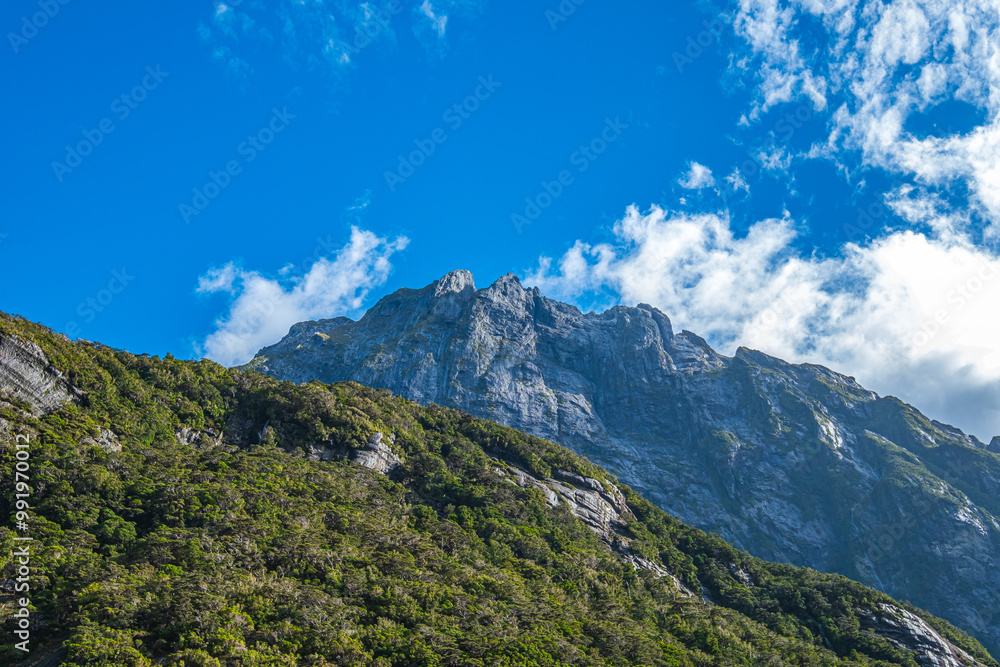 Fototapeta premium Colour Photo Mountains in Milford Sound South Island New Zealand