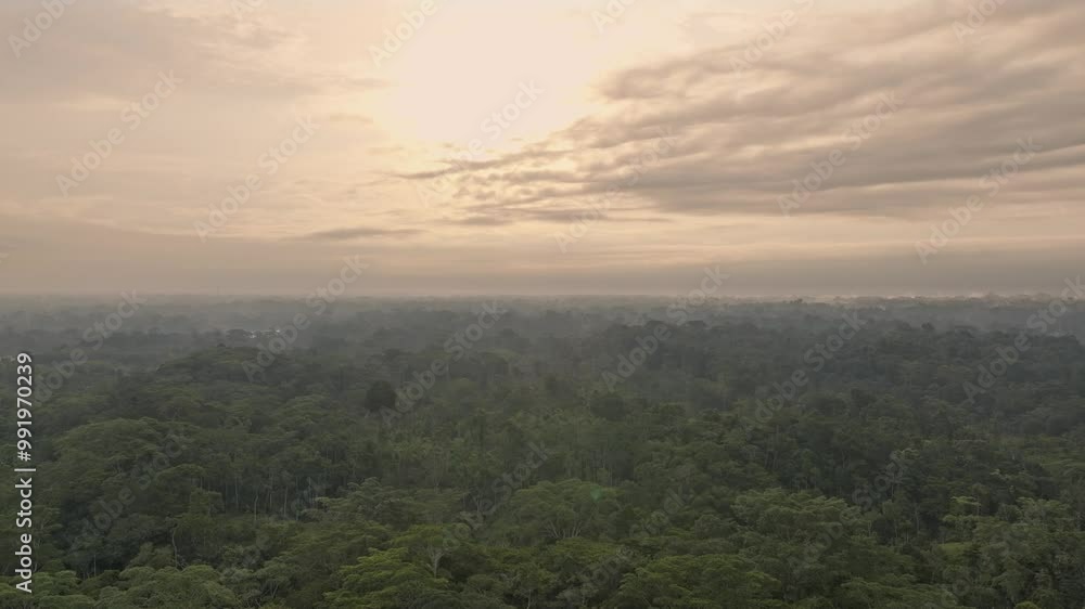 Immerse yourself in the stunning beauty and incredible biodiversity of the Amazon Rainforest in Ecuador with this captivating footage. Immerse yourself in the stunning beauty and incredible biodiversity of the Amazon Rainforest in Ecuador with this captivating footage.