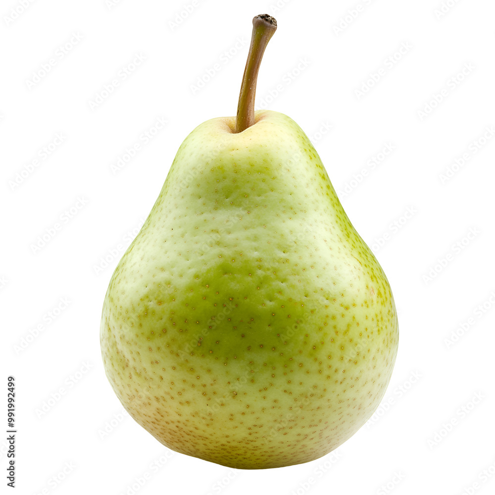 Pome Fruits - Pear. A single, ripe Pear with a smooth, green skin, isolated on transparent backdrop. Pome Fruits - Pear. A single, ripe Pear with a smooth, green skin, isolated on transparent backdrop.