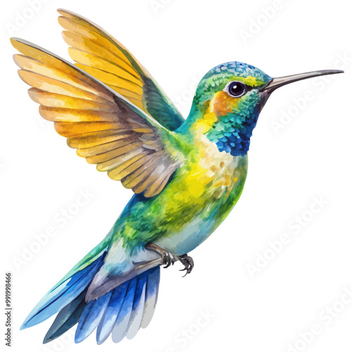 watercolor Hummingbird clipart, flying hummingbird isolated on white background
