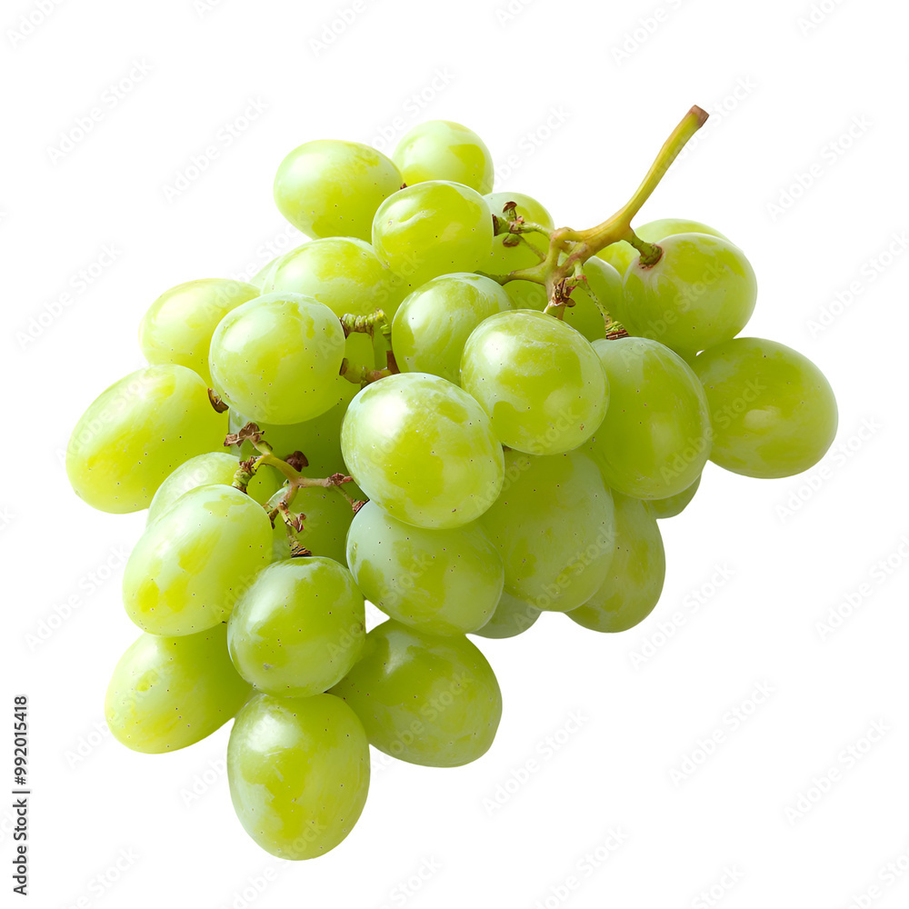 Seedless Fruits - Thompson Seedless Grapes. A cluster of Thompson Seedless Grapes with a light green color, isolated on transparent backdrop. Seedless Fruits - Thompson Seedless Grapes. A cluster of Thompson Seedless Grapes with a light green color, isolated on transparent backdrop.