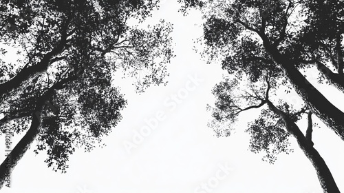 Wallpaper Mural BW trees in summer Torontodigital.ca
