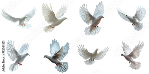 Elegant Collection of White Doves on Transparent Background: Symbolizing Peace and Purity, Perfect for Creative Projects, Invitations, Designs – Capture the Beauty of These Graceful Birds.