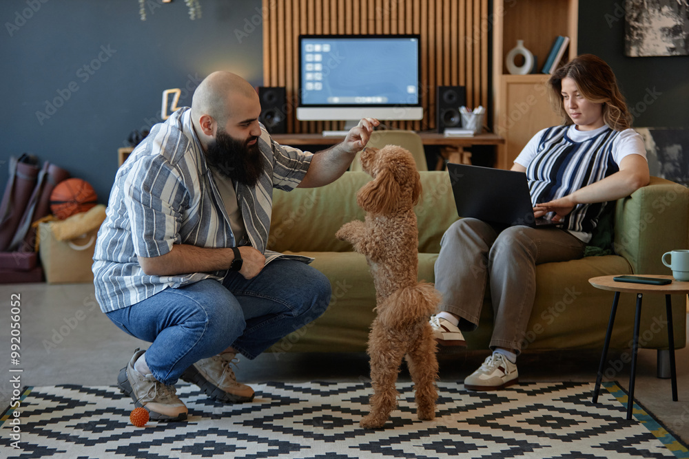 Bearded man training poodle while woman sitting on sofa working on laptop in modern living room setting Bearded man training poodle while woman sitting on sofa working on laptop in modern living room setting