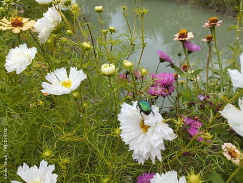 La nature en folie !
