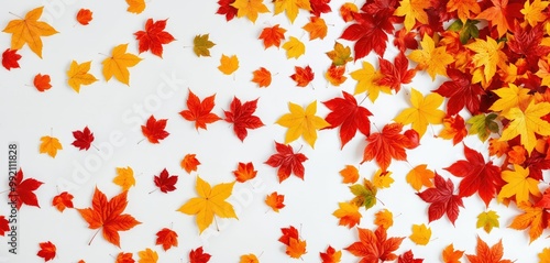 Wallpaper Mural A vibrant, scattered arrangement of autumn leaves in red, orange, yellow, and green hues, creating a dynamic and visually striking scene against a stark white background Torontodigital.ca