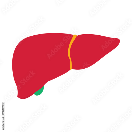Adobe Illustrator Arflat liver vector design isolated on white background twork