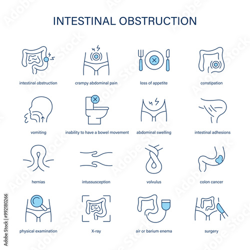 Intestinal Obstruction symptoms, diagnostic and treatment vector icon set. Medical icons.	