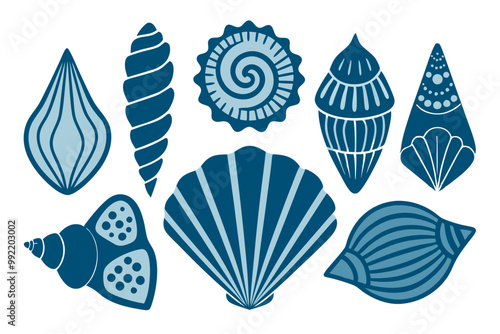 Detailed Vector Set of Diverse Seashell Types with Intricate Patterns