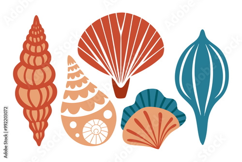 Detailed Vector Set of Diverse Seashell Types with Intricate Patterns