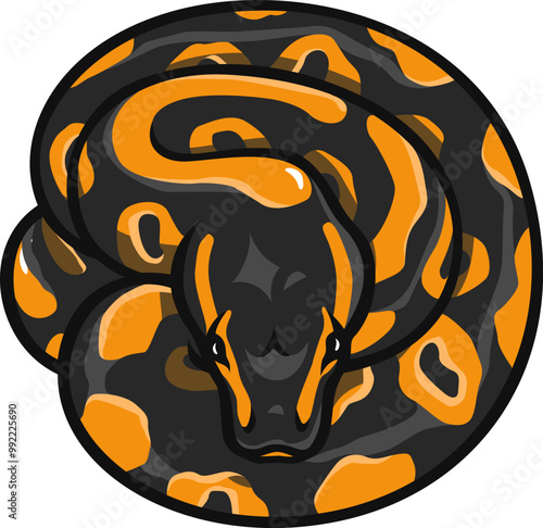 Illustration of Balling Curled Up on Its Own