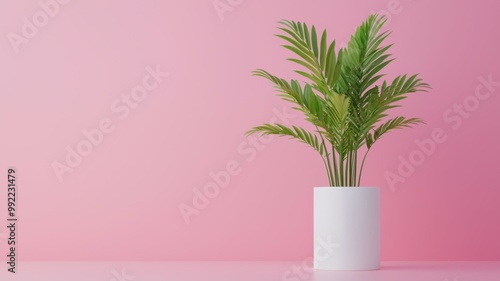 A white plant in a white pot sits on a pink background