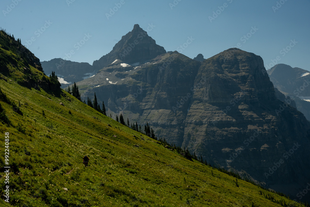 Fototapeta premium Hiker Cross The Steep Grassy Meadows Of Boulder Pass Trail