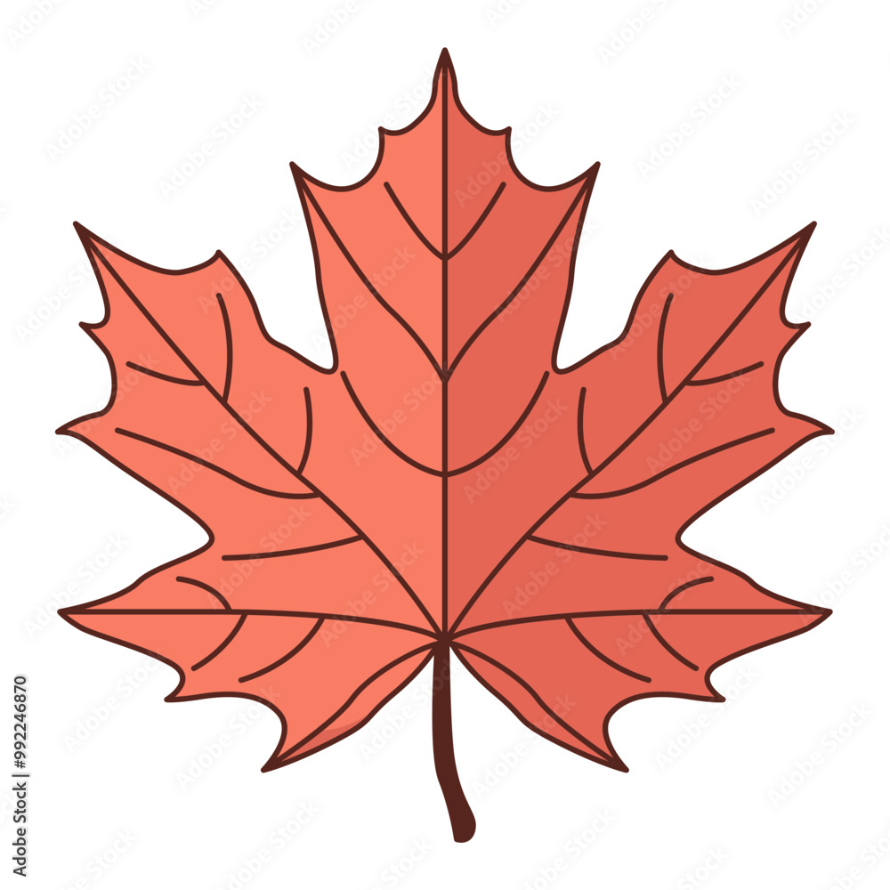 Naklejka premium autumn maple leaf