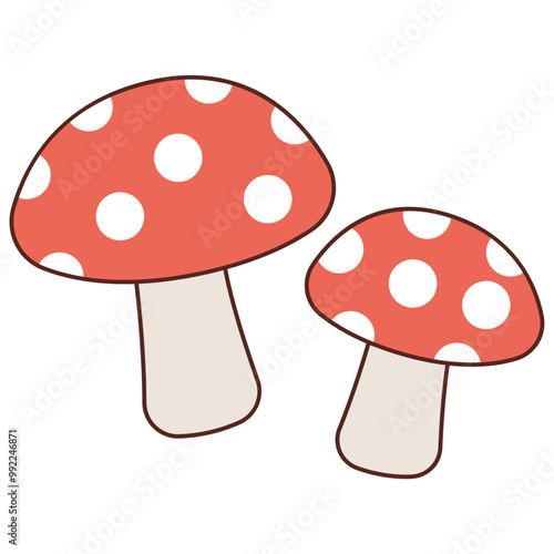 fly agaric mushroom isolated