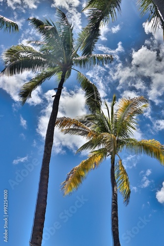 St. Thomas, United States Virgin Islands