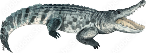 A crocodile is a large aquatic reptile found in tropical regions, hand-drawn watercolor illustration