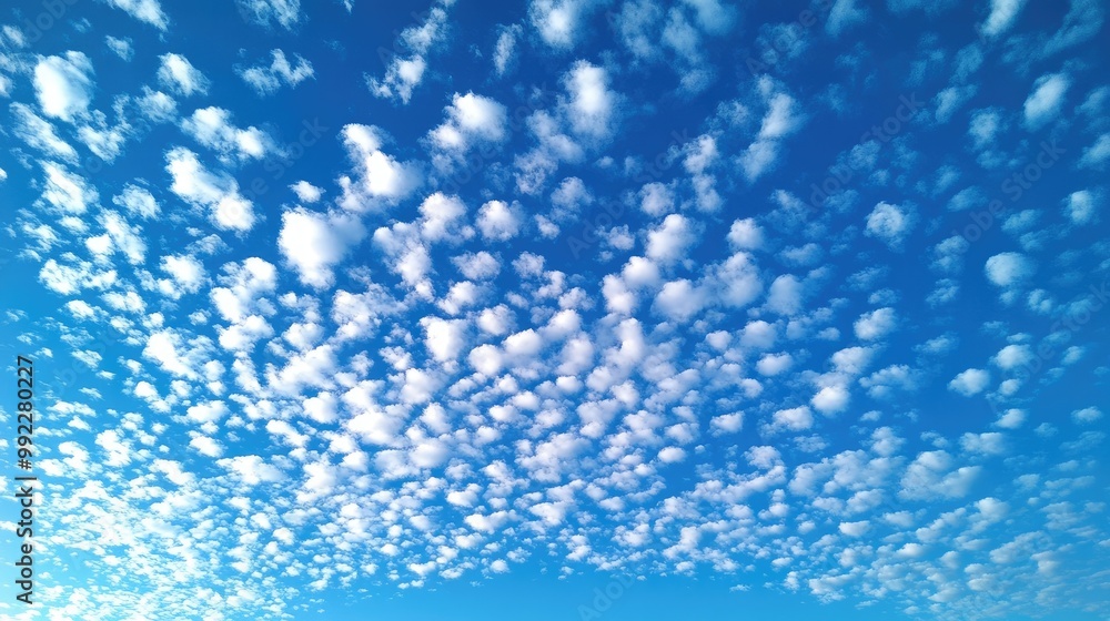 Obraz premium A serene sky dotted with altocumulus clouds, small and puffy, evenly scattered across a bright blue expanse.