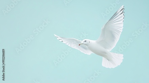 A white seagull in mid-flight, isolated on a solid light blue background. Its wings spread wide, creating a clean and minimalistic composition. --ar 16:9