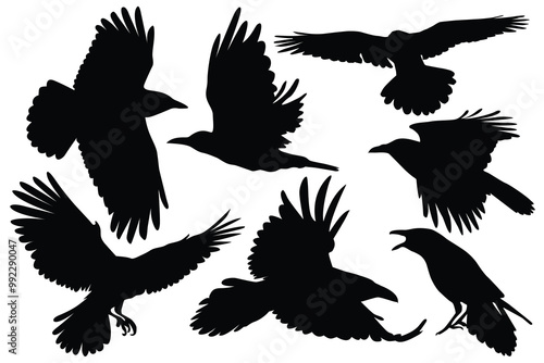 Hand drawn animals silhouette set. Terrifying Halloween silhouette Raven Spooky Halloween Night Crow silhouette. Set of silhouettes of crows Corvus corax in different poses stand, croak and fly. photo