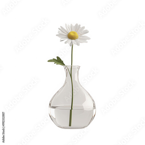 A white flower is in a clear vase with water