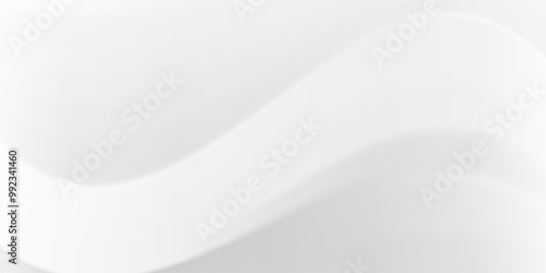 Abstract minimalist white and gray curve modern background. texture white pattern. vector illustration